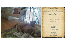 5 Schermata Ghost Camera cattura fantasmi