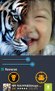 Animal face - Face Morphing screenshot 5