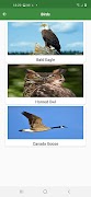WorldCritters скриншот 6
