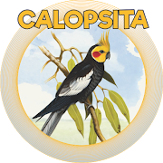 Poster CALOPSITA
