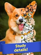 برنامه‌نما Tiny Things: hidden object games عکس از صفحه