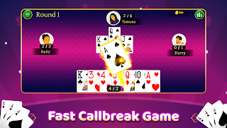 Call break screenshot 1