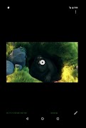 PecaViewer 海报