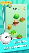 Crazy Bird 截图 5