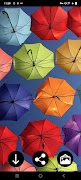 雨伞壁纸 截图 7