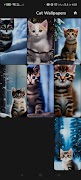 AI Cats Wallpapers captura de pantalla 5