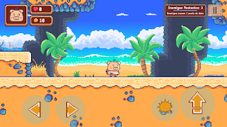 Poster Cerdo Playero