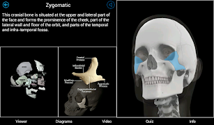 Skeletal Anatomy 3D screenshot 7
