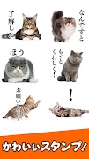 برنامه‌نما 猫スタンプ（実写スタンプ） عکس از صفحه