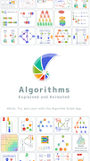 Algorithms: Explained and Anim plakat
