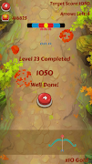 Hit If You Can - Archery Chall screenshot 2