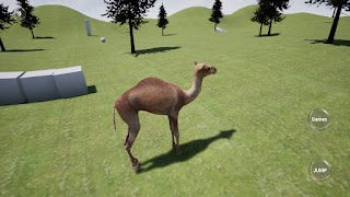 برنامه‌نما Happy Camel Simulator عکس از صفحه