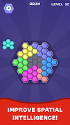 برنامه‌نما Hex Blocks Puzzle عکس از صفحه