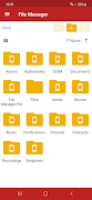 File Manager Pro পোস্টার