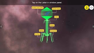 Learn Viruses syot layar 1