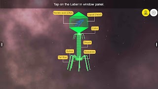 Learn Viruses تصوير الشاشة 1