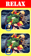برنامه‌نما Spot The Difference Game عکس از صفحه
