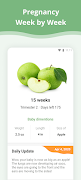 Pregnancy App poster