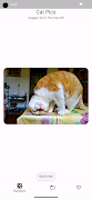 برنامه‌نما Cat Pictures عکس از صفحه