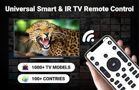 Universal TV Remote Control poster