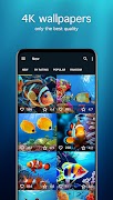 برنامه‌نما Fish Wallpapers 4K عکس از صفحه