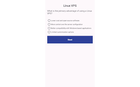 VPS Windows LLC imagem de tela 3