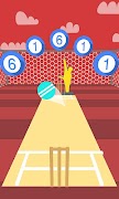 Cricket Practice Screenshot 3