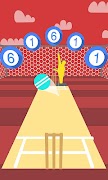 Cricket Practice スクリーンショット 3