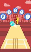 Cricket Practice اسکرین شاٹ 3