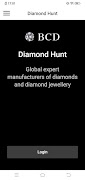 Diamond Hunt poster