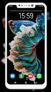 Betta Fish Wallpaper screenshot 3