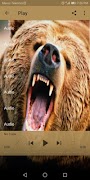 Bear sounds ภาพหน้าจอ 2