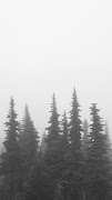 Forest Wallpapers Screenshot 3