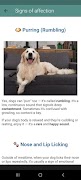 Guía de adiestramiento canino captura de pantalla 4