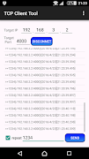 TCP/UDP TEST TOOL Screenshot 2