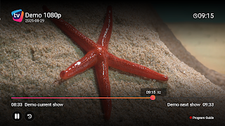 برنامه‌نما pliusTV عکس از صفحه