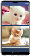 Cat sounds screenshot 1