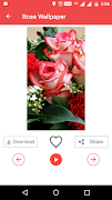 برنامه‌نما تصویر زمینه رز عکس از صفحه