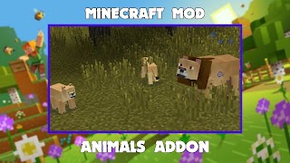Wildcraft Animals in Minecraft ภาพหน้าจอ 6