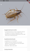 MyEntomologist screenshot 2