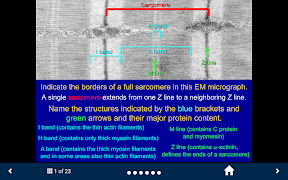 Basic Tissues screenshot 4