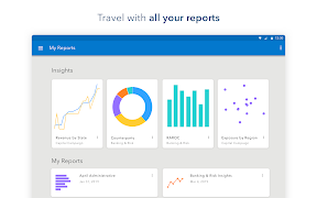 SAS Visual Analytics скриншот 7
