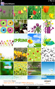 Spring Wallpapers screenshot 5