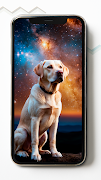 Labrador Retriever Wallpapers screenshot 5