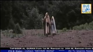 برنامه‌نما Ali TV عکس از صفحه