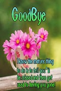 GoodBye Greets imagem de tela 7