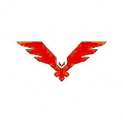 FALCON poster