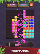 Put Blocks Classic Screenshot 6