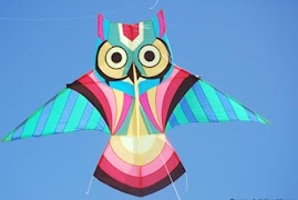 Idées de conception de cerf-volant faciles capture d'écran 7