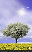 Spring Trees Free imagem de tela 1
